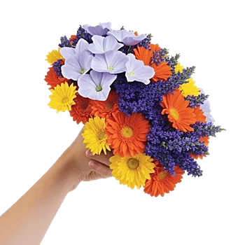 Dewy Morning Blossoms