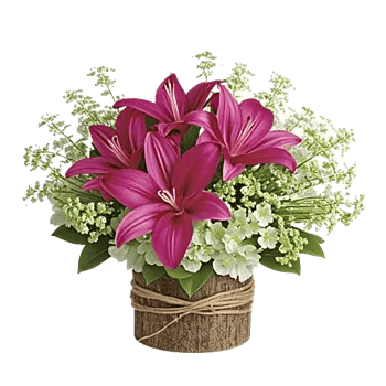 Graceful Lily Display