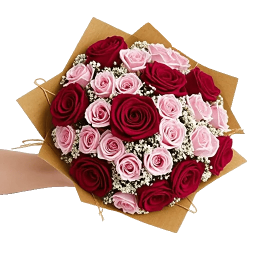 Crimson Rose Elegance