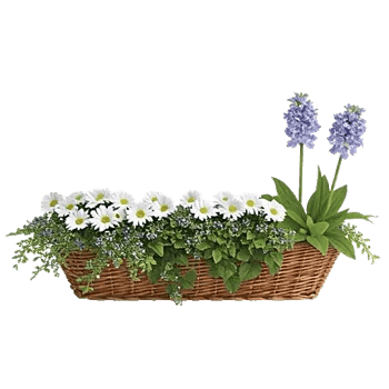 Cobalt Bloom Mix