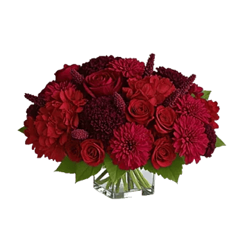 Petal Radiance Bliss