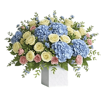 Blooming Serenity Display