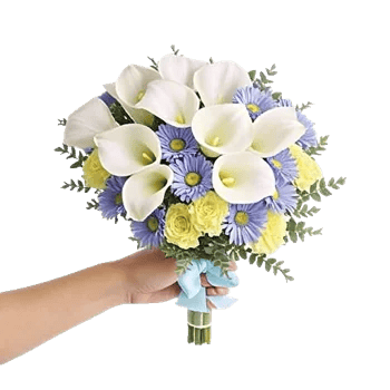 Elegant Calla Lilies