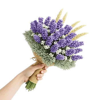 Lavender Fields Forever