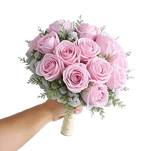 Pastel Pink Roses