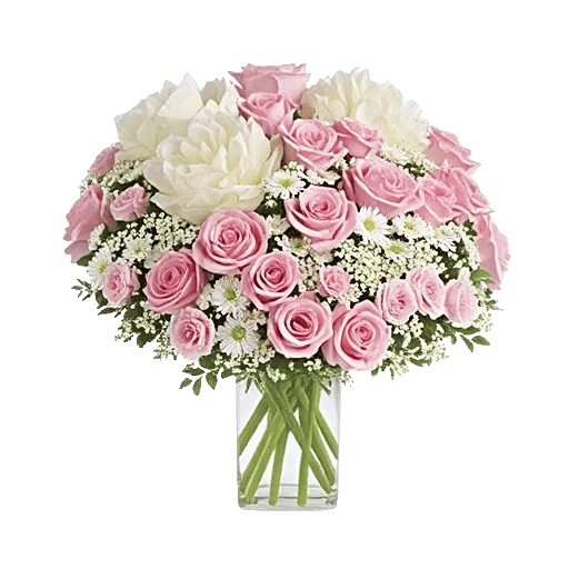 Petal Radiance Bliss