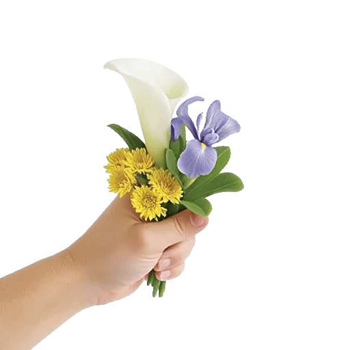 Elegant Calla Lilies