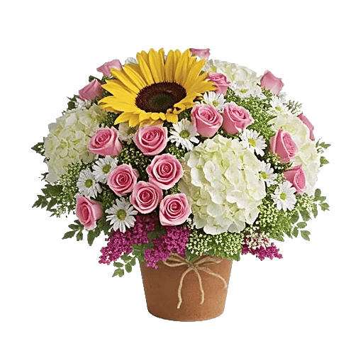 Amber Sunflower Glow