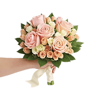 Blushing Rose Symphony