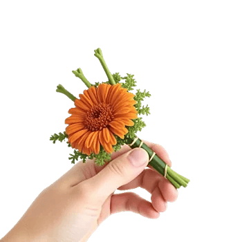 Modern White Orchids