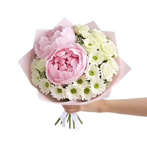 Peony Petal Harmony
