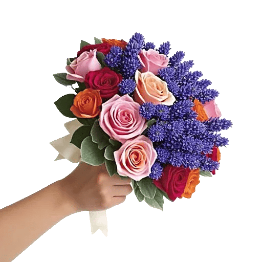 Pastel Pink Roses