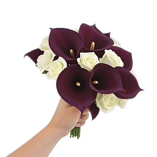 Elegant Calla Lilies