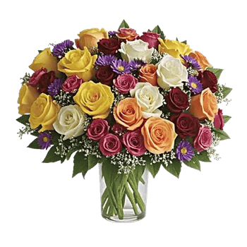 Radiant Rose Symphony