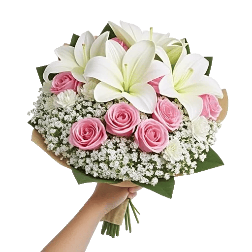 Blushing Rose Symphony