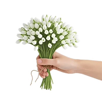 Minimalist White Orchids