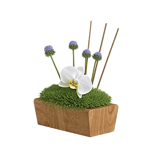 Minimalist White Orchids