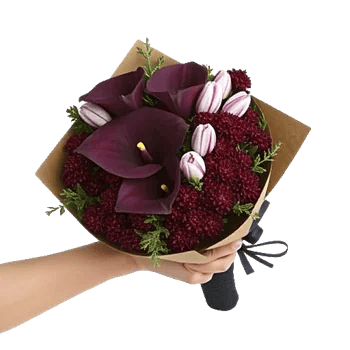Elegant Calla Lilies