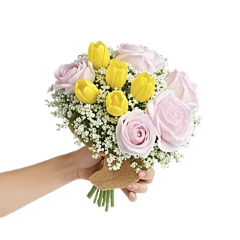 Blossom Harmony Display