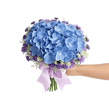 Sapphire Bloom Whisper