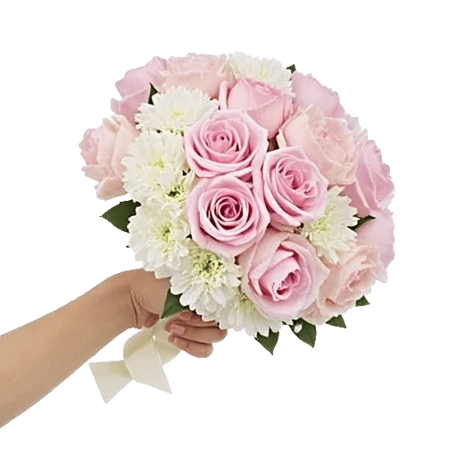 Pastel Pink Roses