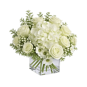 Ivory Blossom Radiance