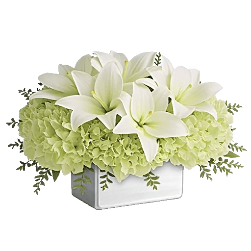 Graceful Lily Display