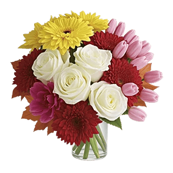 Radiant Bloom Cascade