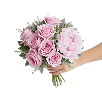 Pastel Pink Roses