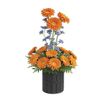 Vibrant Orange Delight