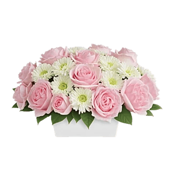 Delicate Petal Cascade