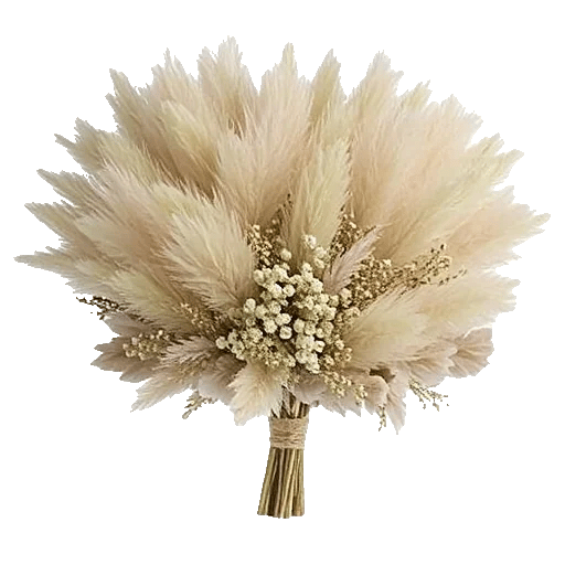 Daisy Meadow Spread
