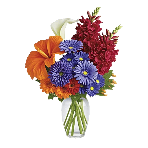 Radiant Bloom Cascade