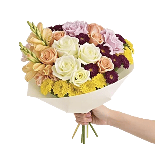 Blushing Rose Symphony