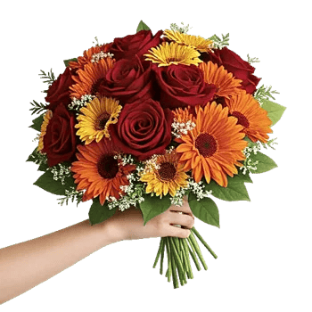 Crimson Rose Elegance