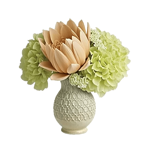 Ivory Blossom Radiance