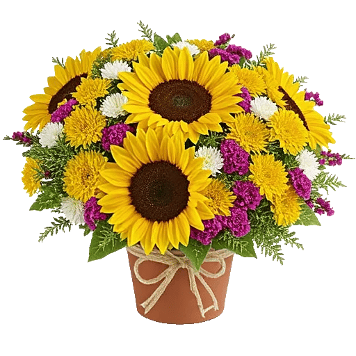 Amber Sunflower Glow