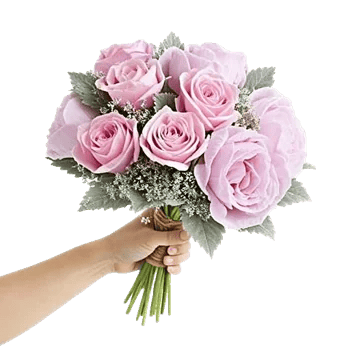 Pastel Pink Roses