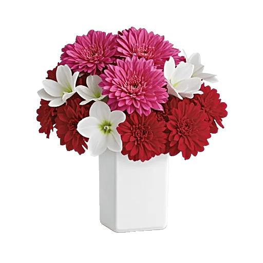 Petal Radiance Bliss