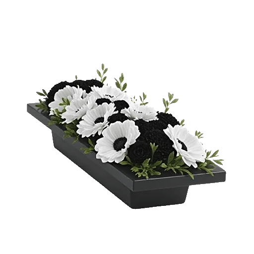 Modern White Orchids