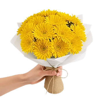 Golden Petal Harmony