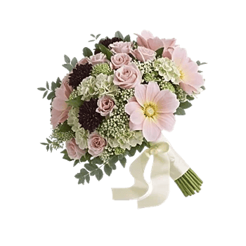 Ivory Garden Grace