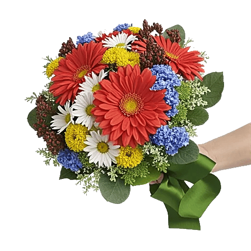 Coral Blossom Harmony