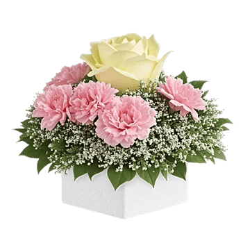 Delicate Petal Cascade