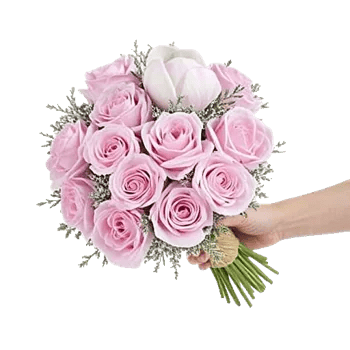Pastel Pink Roses