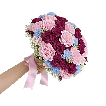 Pastel Pink Roses
