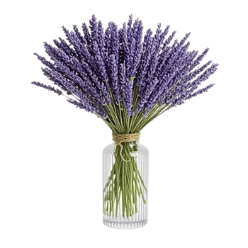Lavender Bloom Grace