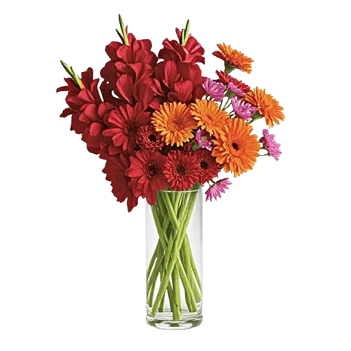 Petal Radiance Bliss