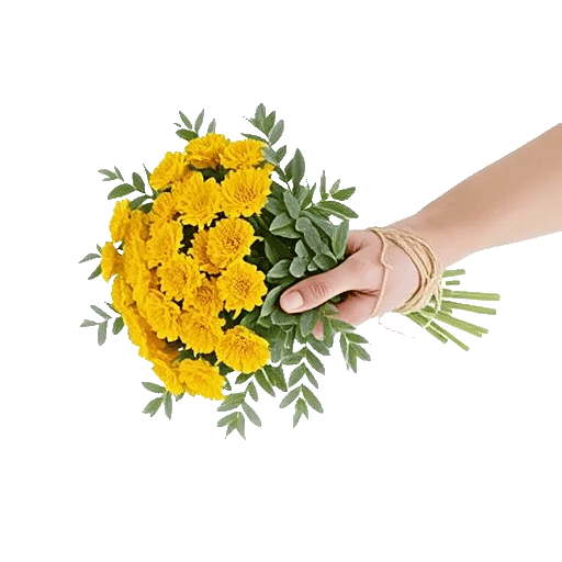 Blossom Harmony Display