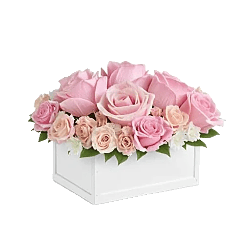 Pink Pastel Roses